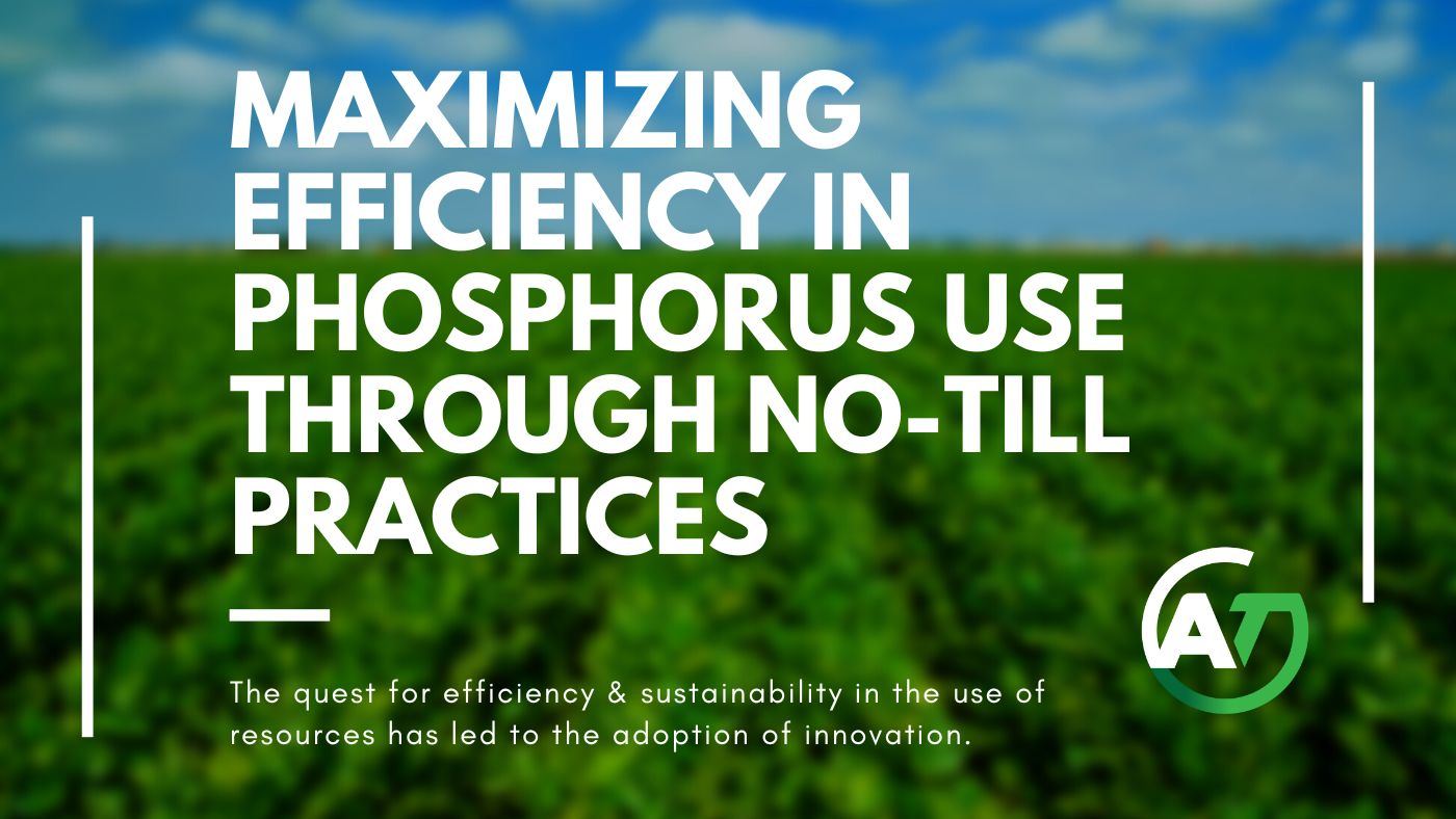 Maximizing Efficiency in Phosphorus Use through No-Till Practices