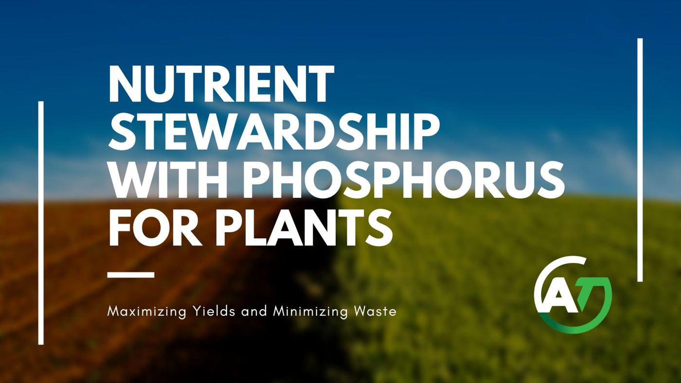 Nutrient Stewardship with Phosphorus for Plants: Maximizing Yields and Minimizing Waste
