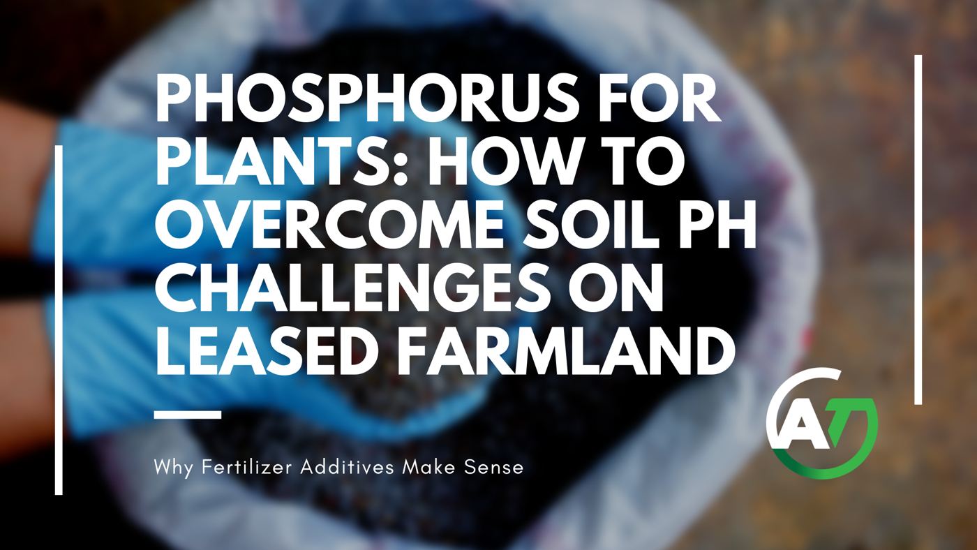 Phosphorus for Plants: How to Overcome Soil pH Challenges on Leased Farmland