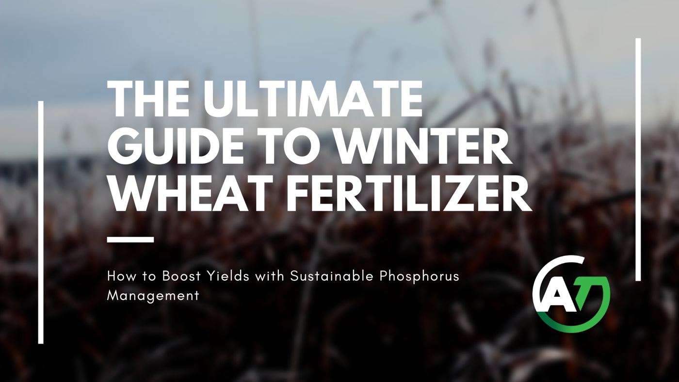 The Ultimate Guide to Winter Wheat Fertilizer: Boost Yields with Sustainable Phosphorus Management